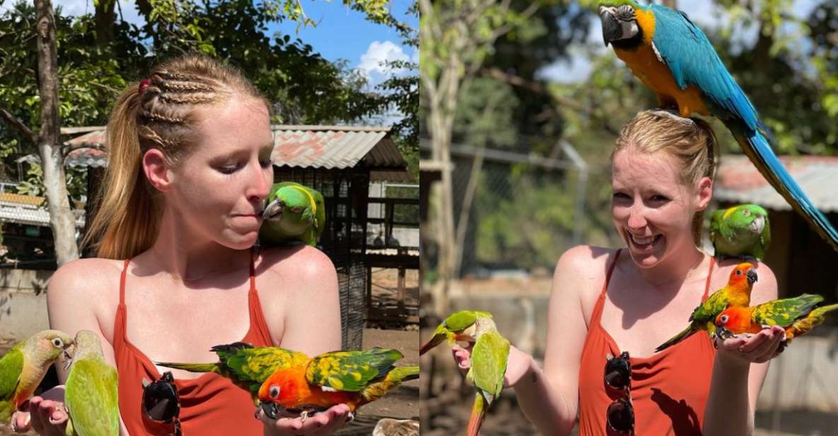 Rockland's Bird Sanctuary & Bird Farm With Private Transport - Experience Highlights