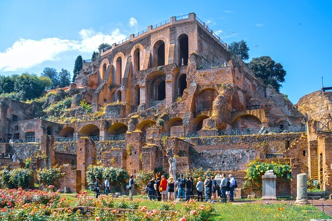 Roman Forum & Palatine Hill Guided Tour - Accessibility Information