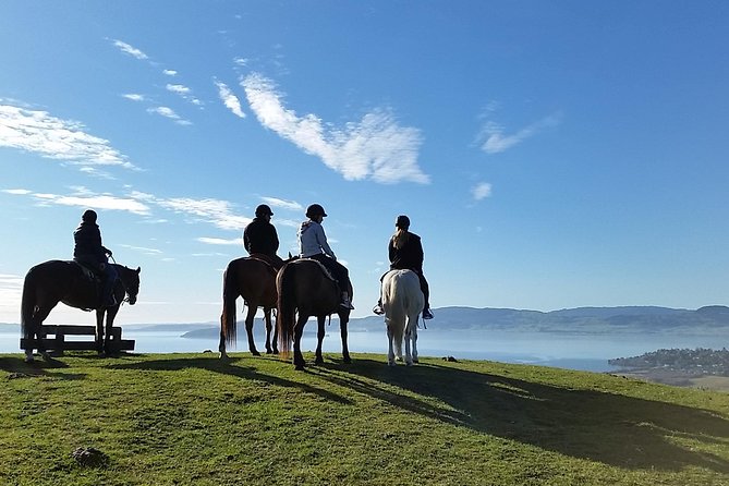 Rotorua 1-Hour Horseback Wilderness Tour - Inclusions and Amenities