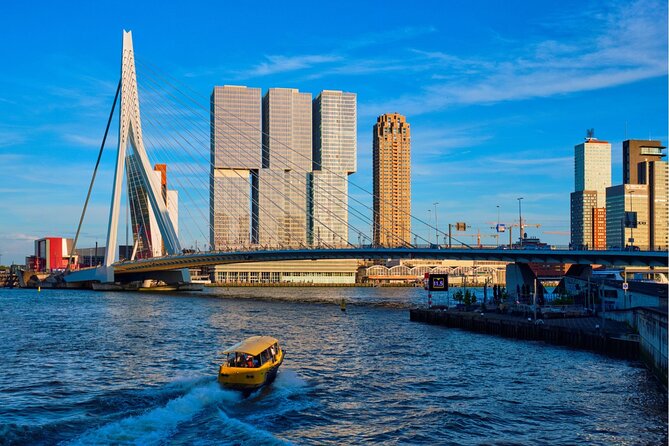 Rotterdam Highlights With Local: Walking Tour & Boat Cruise - Meeting Point Details