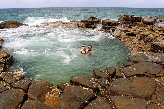 Royal National Park Tour - Customer Testimonials