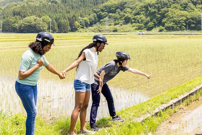 Rural Villages & Brewery Town: Private 1-Day Cycling Near Kyoto - Authentic Reviews and Ratings Breakdown