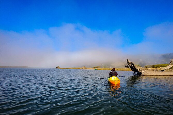 Russian River Kayak Tour at the Beautiful Sonoma Coast - Expectations and Requirements