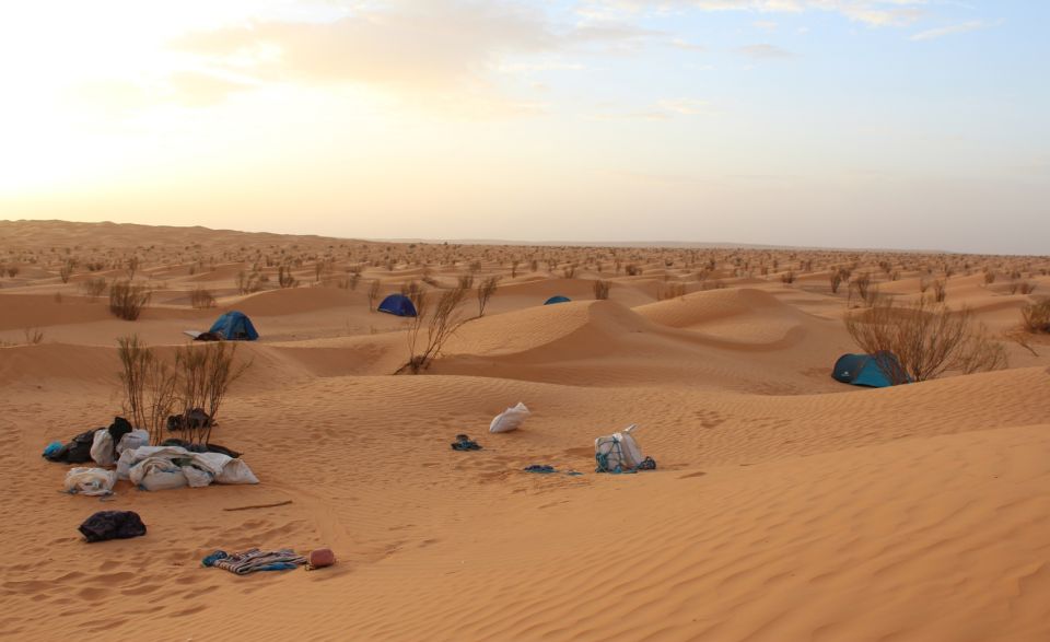 Sahara Desert: 2-Day Tour With Food and a Night in a Tent - Inclusions and Activities