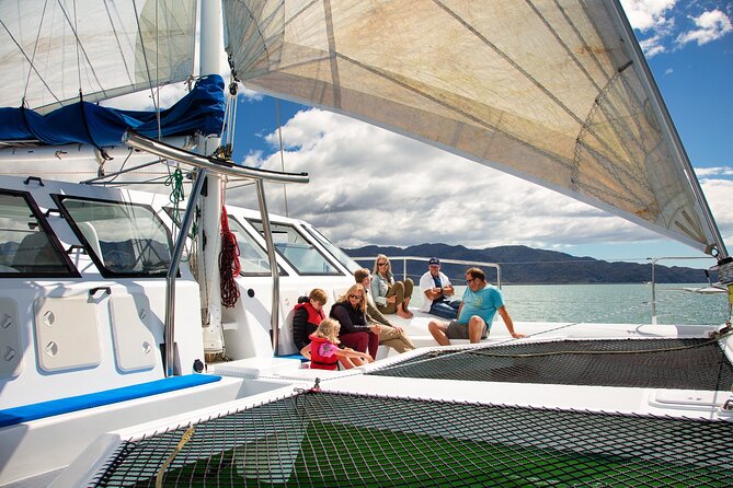 Sail, Seals, and Walk Tour in Abel Tasman - Traveler Reviews
