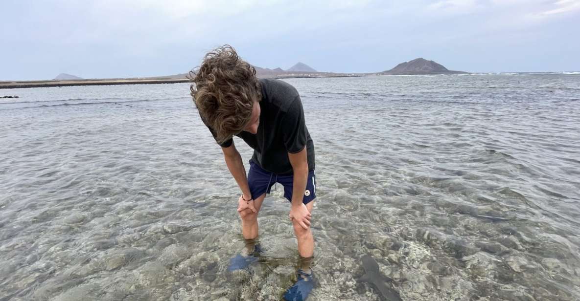 Sal: Lemon Shark Bay and Pedra De Lume Salt Lakes Tour - Inclusions