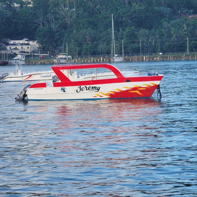 Samana: Rent Catamaran Boat in Samana Bay - Accessibility and Language