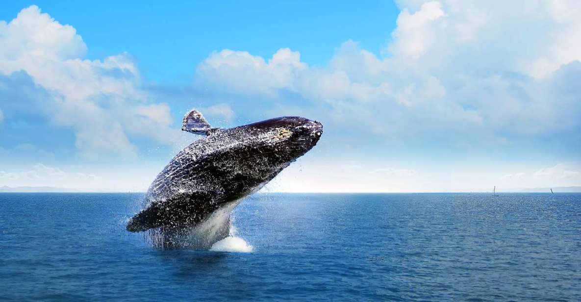 Samana: Whale Watching and Cayo Levantado Full Day Tour - Location and Tour Title