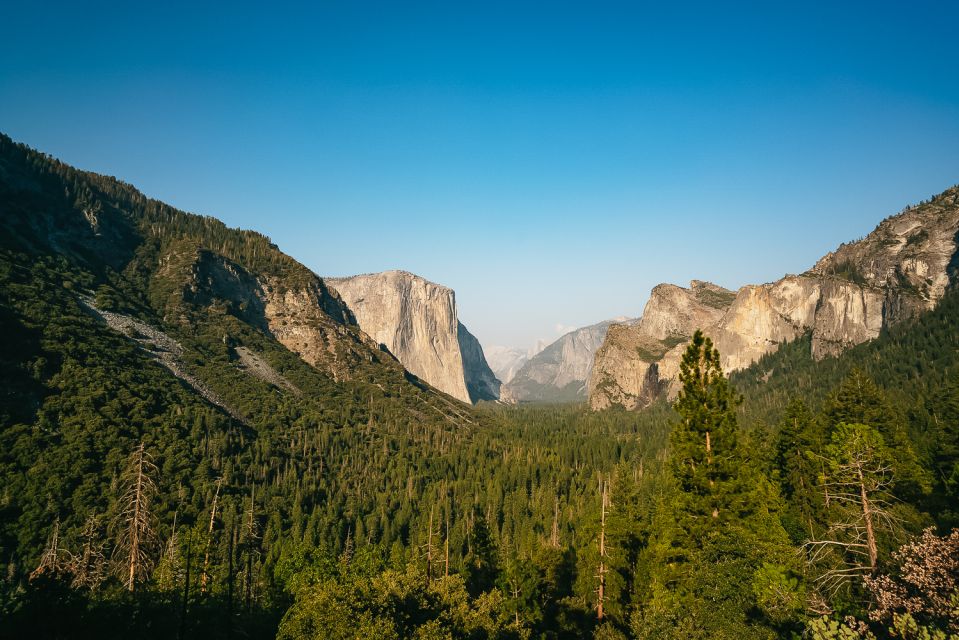 San Francisco: Day Trip to Yosemite With Giant Sequoias Hike - Tour Itinerary