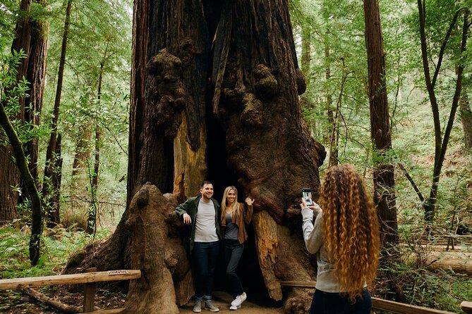 San Francisco, Sausalito, Muir Woods Bay Area Small-Group Tour - Customer Reviews