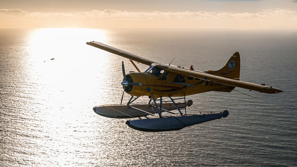 San Francisco: Seaplane Flight With Champagne - Important Information