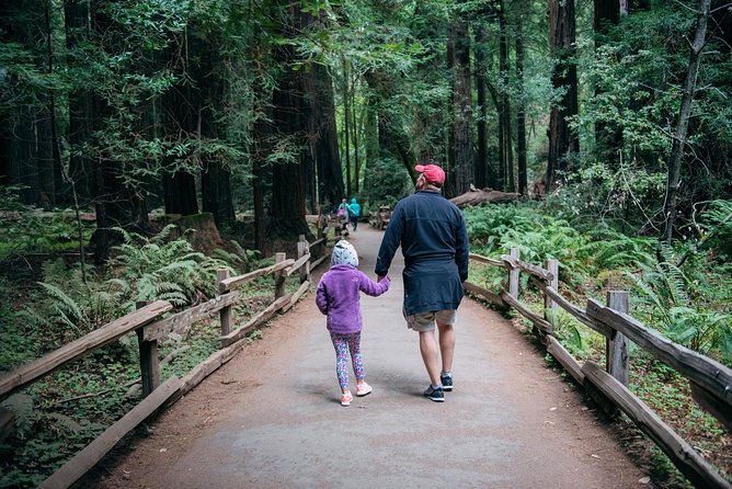 San Francisco Super Saver: Muir Woods & Wine Country W/ Optional Gourmet Lunch - Tour Highlights