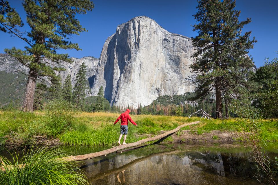 San Francisco To/From Yosemite National Park: 1-Way Transfer - Booking and Payment Options