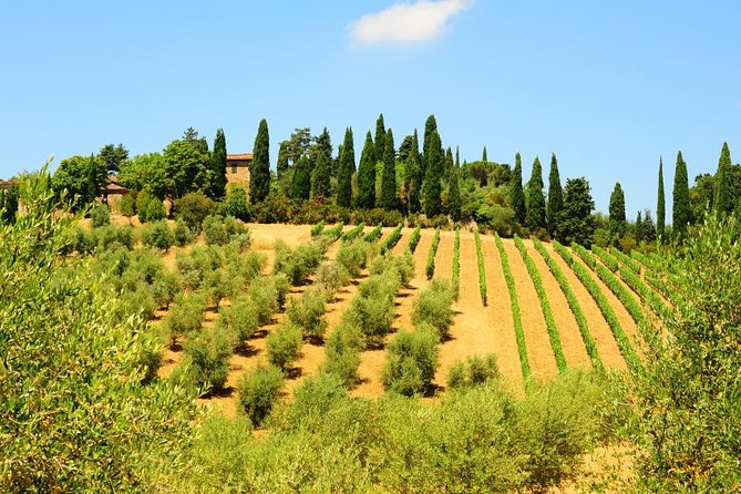 San Gimignano, Siena, Monteriggioni: Fully Escorted Tour, Lunch & Wine Tasting - Host Responses and Clarifications