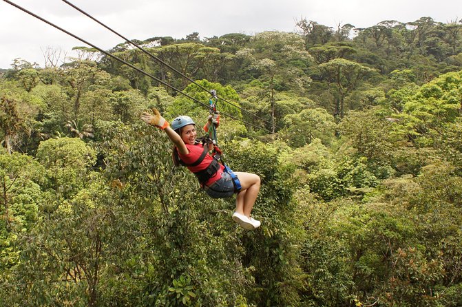 San Jose Rainforest Adventures With Zipline and Canopy Gondola - Highlights of the Zipline and Tram Tour