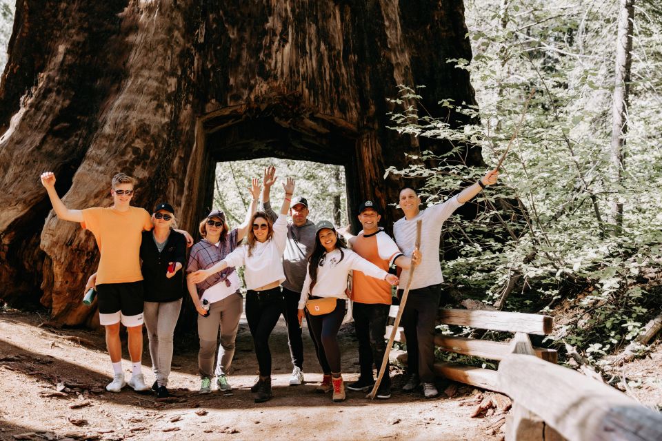 San Jose: Yosemite National Park and Giant Sequoias Trip - Activity Highlights