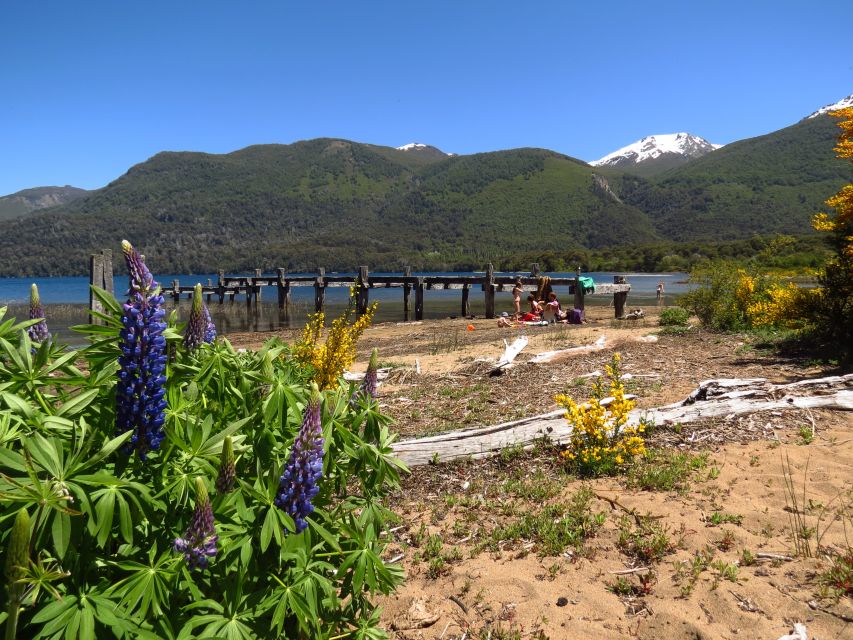 San Martín De Los Andes Through 7 Lakes - Tour Experience