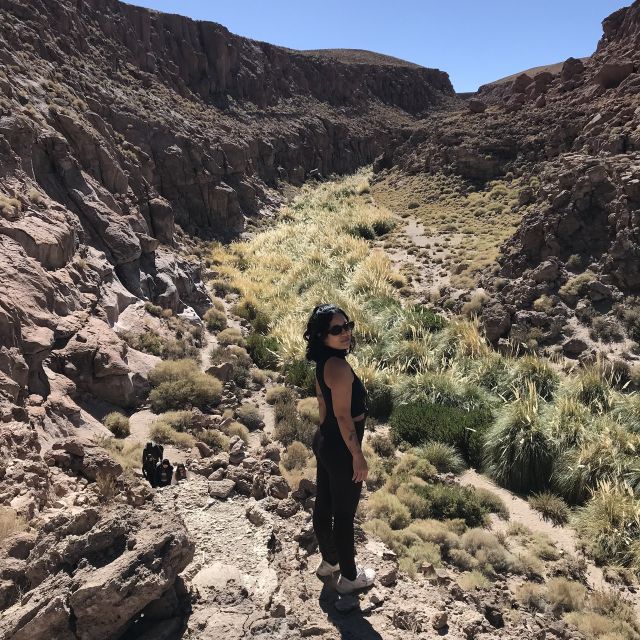 San Pedro De Atacama: Canyon Swimming Pools Trekking Trip - Highlights