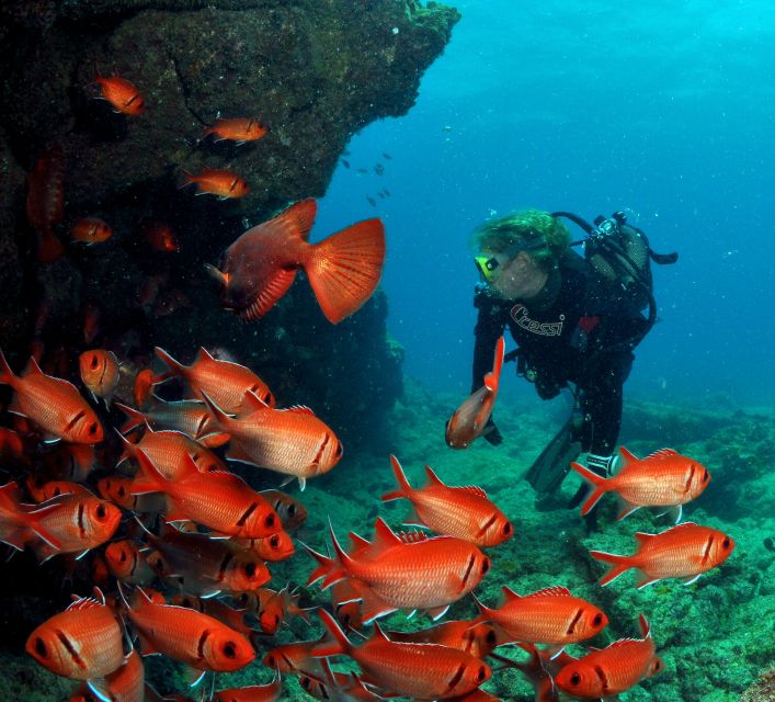 Santa Maria: Review Diving Course With 2 Guided Dives - Course Highlights