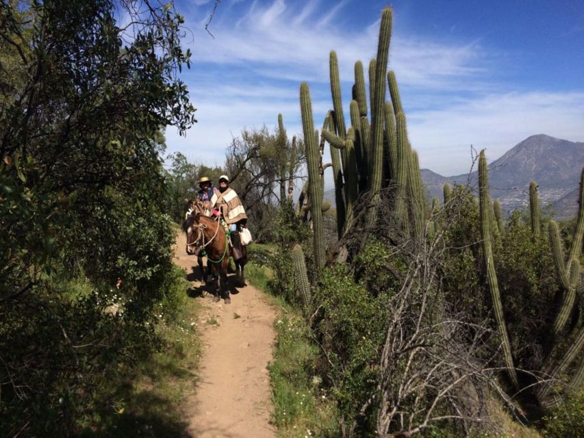 Santiago: Half-Day Private Andean Foothills Horseback Riding - Live Tour Guide and Language Options