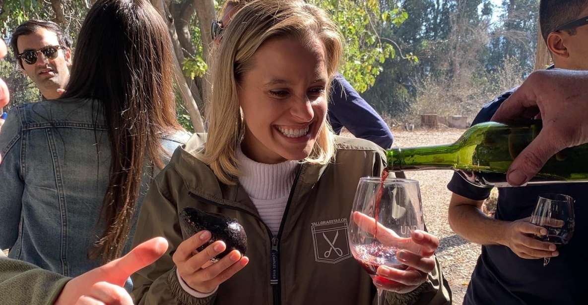 Santiago: Maipo Valley Wine Tasting Tour With 3 Vineyards - Customer Reviews and Recommendations
