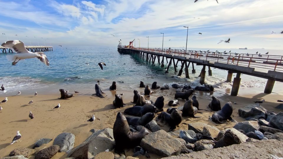 Santiago: Valparaíso Walking Tour & Casablanca Wine Tasting - Sotomayor Square and Historical Insights