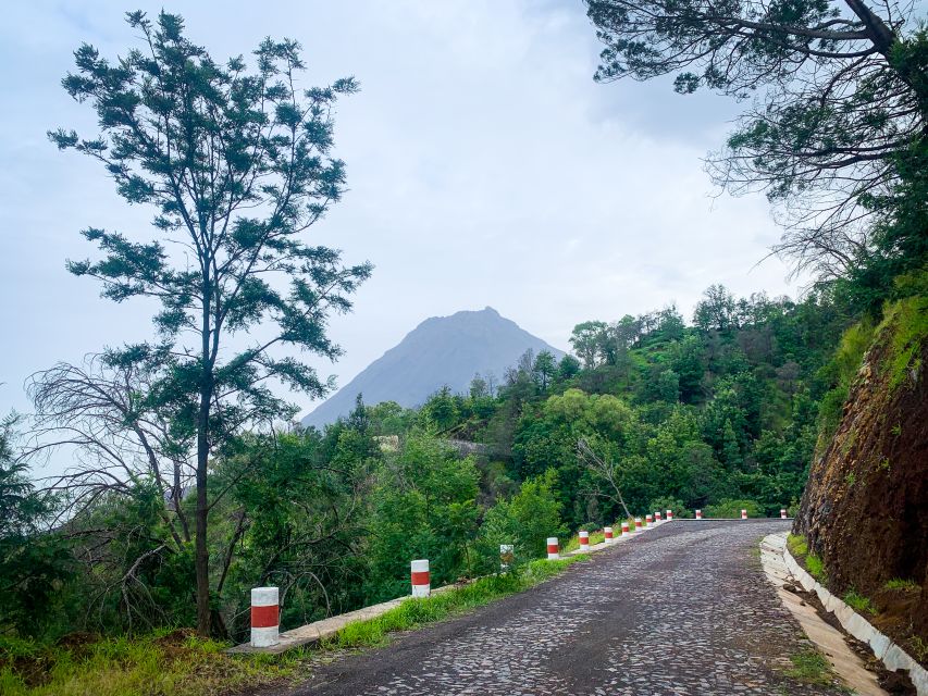 Sao Filipe: Coffee Plantation and Natural Pools Day Trip - Tour Description