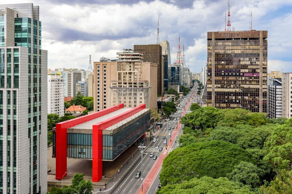 São Paulo City: 5-Hour Private Tour - Review Summary