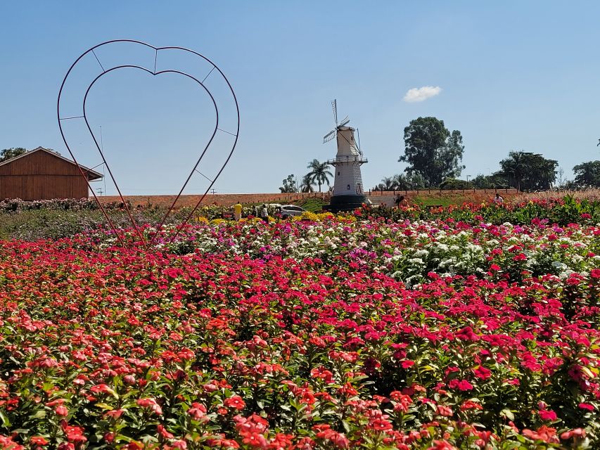 São Paulo: Holambra Colorful Flower Farm Guided Day Trip - Customer Reviews