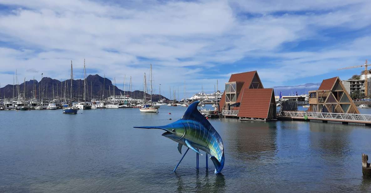 São Vicente: Markets, Beaches and Natural Park Tour - Customer Experiences