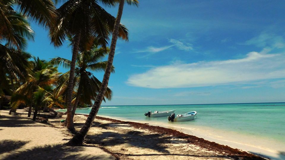 Saona Island Day Trip Lobsters Included - Booking Information