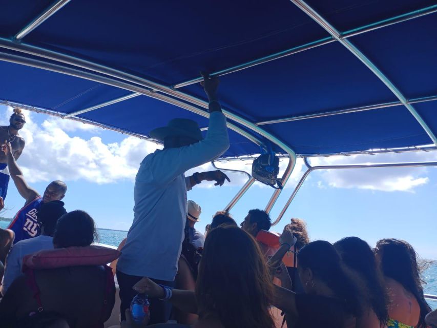 Saona Island: Highlights Tour With Catamaran and Speedboat - Full Description