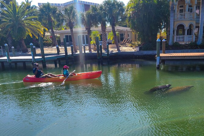 Sarasota: Lido Mangrove Tunnels Kayaking Tour - Experience Expectations and Restrictions