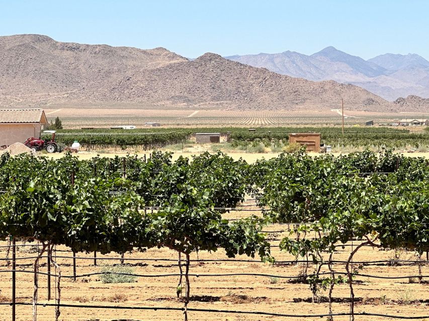 Scenic Desert Wine, Distillery Tastings/Brewery/RT66 & Lunch - Activity Itinerary
