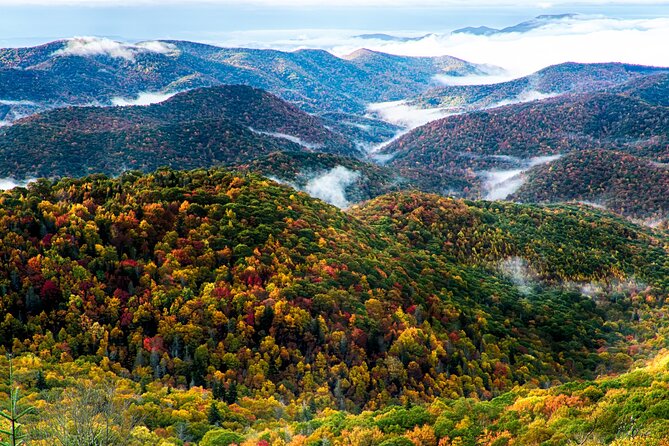 Scenic Driving Tour of the Blue Ridge Mountains - Booking and Payment Details