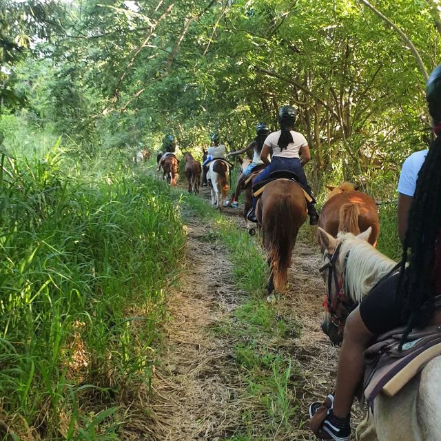 Scenic Horseback Trail - Inclusions