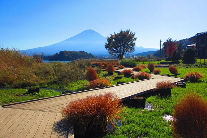 Scenic Spots of Mt Fuji and Lake Kawaguchi 1 Day Bus Tour - Oishi Park Exploration