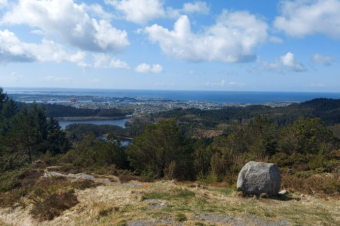 Scenic Tour to Steinsfjellet, Locals at Kringsjå & Rising Tide - Location Details and Directions