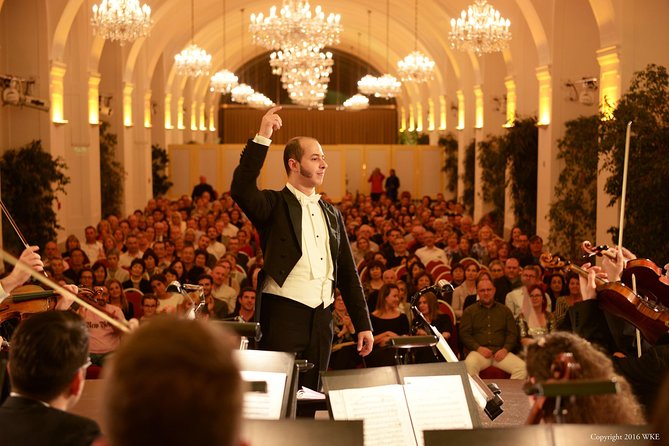 Schönbrunn Palace Vienna Tour and Concert - Contact and Support