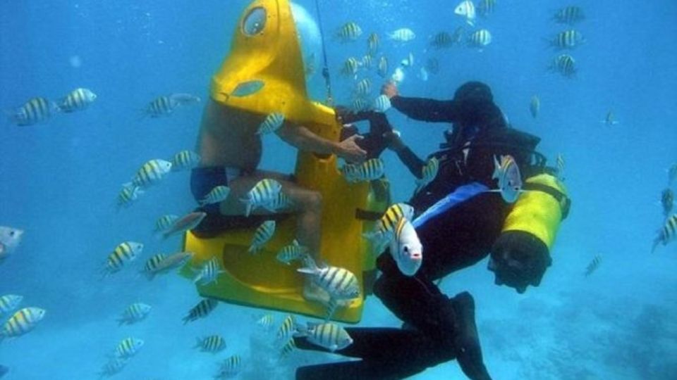 Scoba Doo Discover the Underwater Wonders of Punta Cana - Booking Reviews