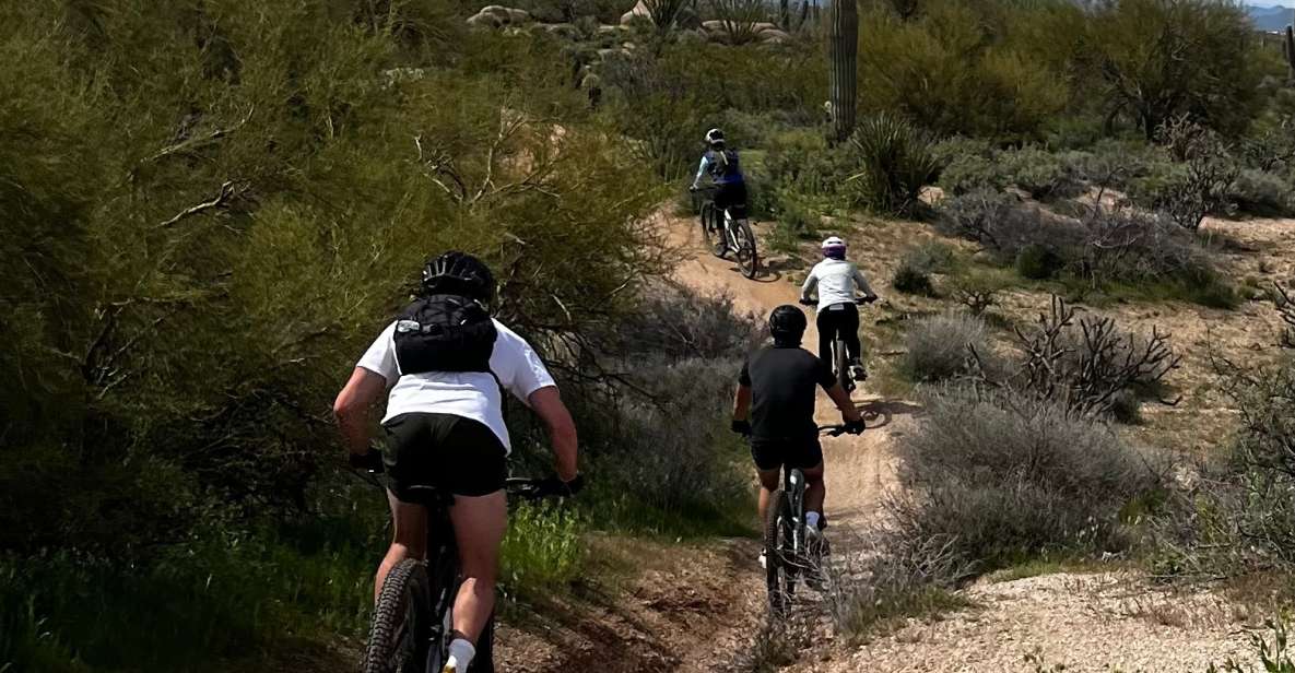 Scottsdale, AZ Private Guided Desert Mountain Bike Tours - Tour Description