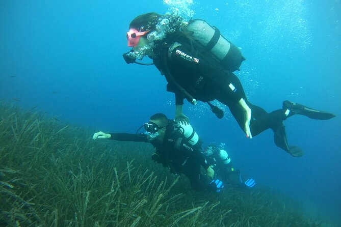 Scuba Diving Experience in Santorini - Participant Experiences