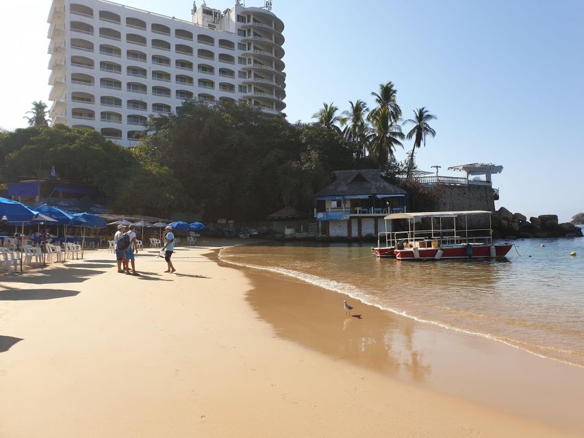 Scuba Diving in Acapulco for Begginers - Experience