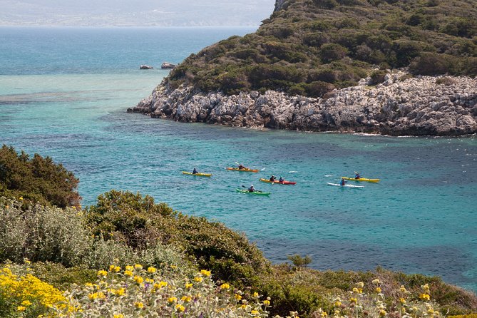 Sea Kayaking in Navarino Bay - Cancellation Policy