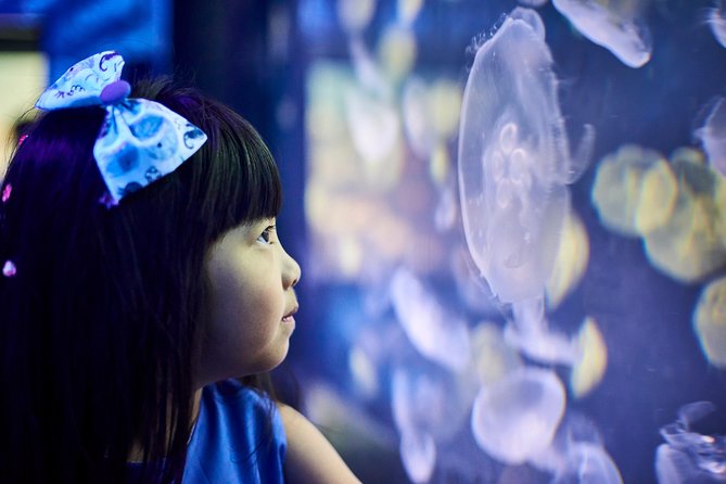 SEA LIFE Melbourne Aquarium Admission Ticket - Experience Inclusions and Add-ons