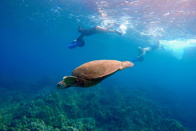 Sea Scooter Snorkeling Tour - Wailea Beach - Customer Experience