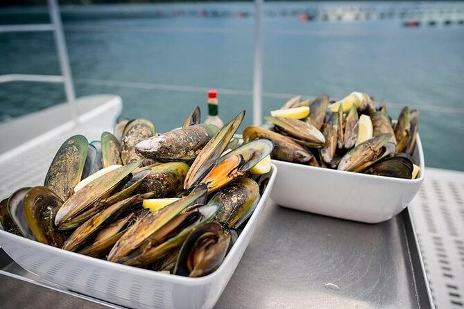 Seafood Odyssea Marlborough Sounds Cruise From Picton - Customer Feedback