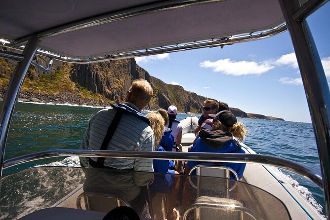 Seal Island Boat Tour From Victor Harbor - Traveler Testimonials and Reviews