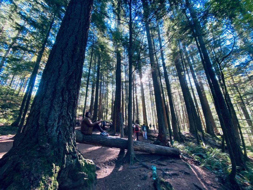 Seattle: Sensory Hike in Twin Fall for Adventurous Families - Itinerary and Attire