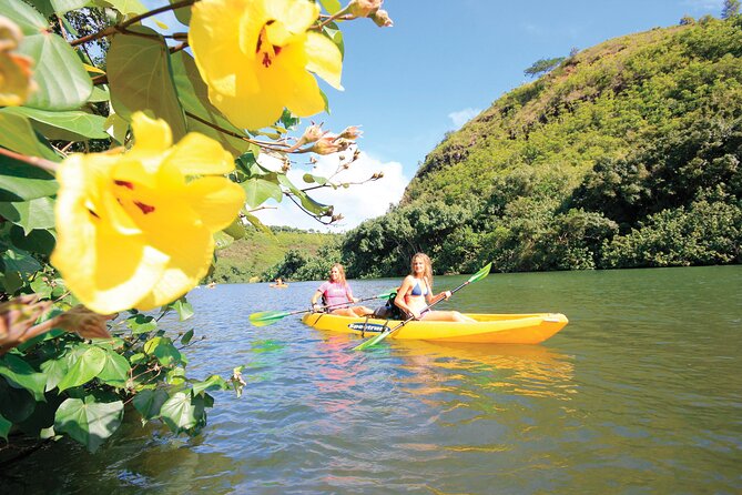 Secret Falls Kayak Hike in Kauai - Tour Experience